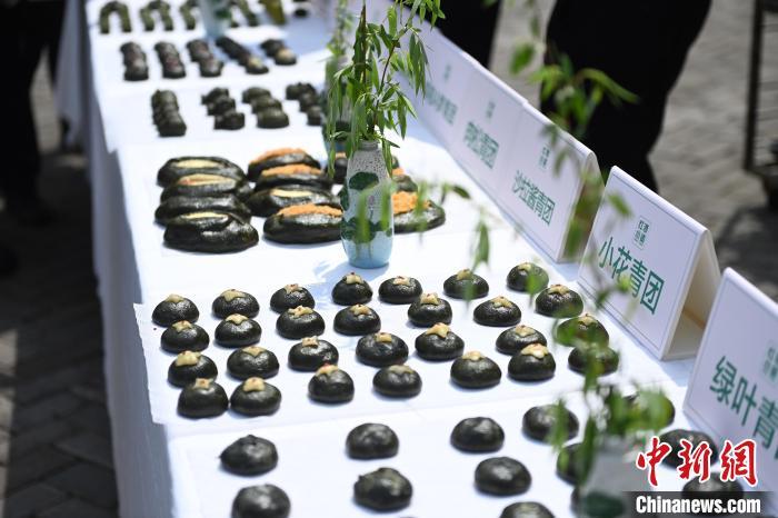 清明习俗知多少:吃青团、荡秋千 戴柳祈求永葆青春